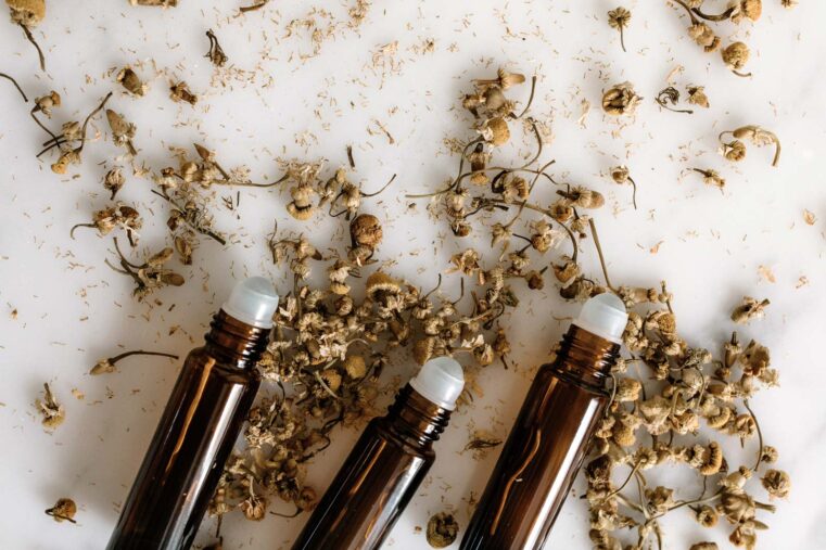 Herbs in pregnancy